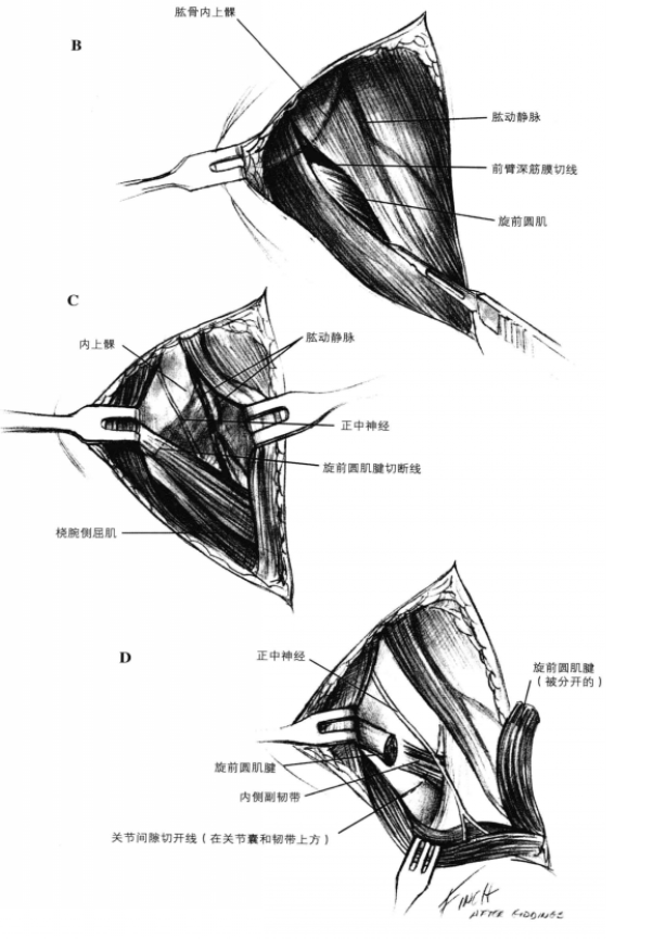 蜜桃成品人视频入口