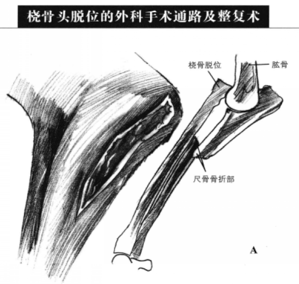 蜜桃成品人视频入口