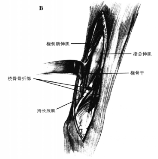 蜜桃成品人视频入口