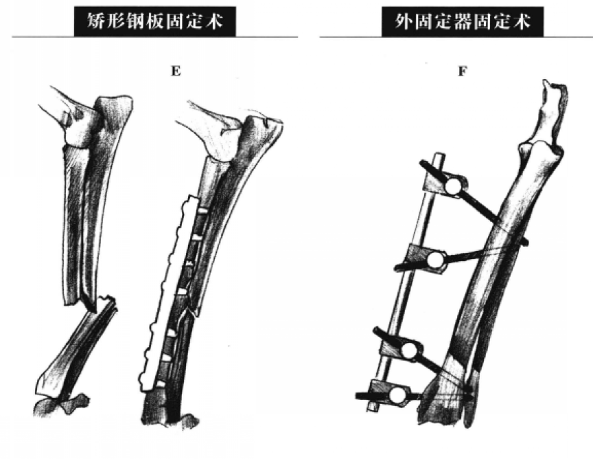 蜜桃成品人视频入口