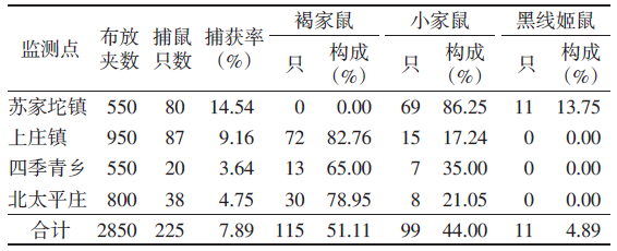 蜜桃成品人视频入口