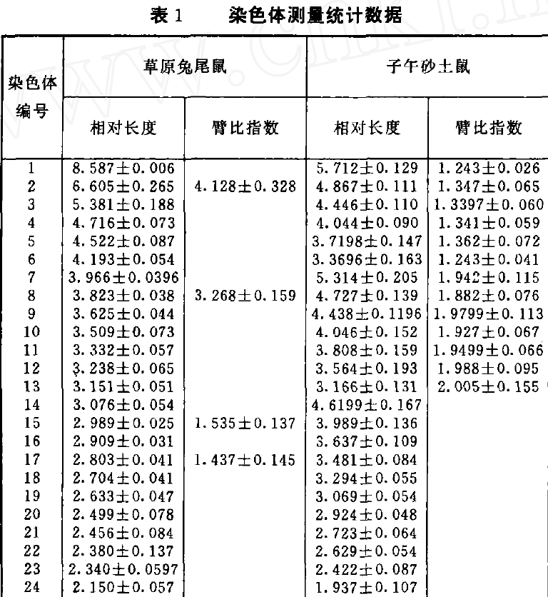 蜜桃成品人视频入口