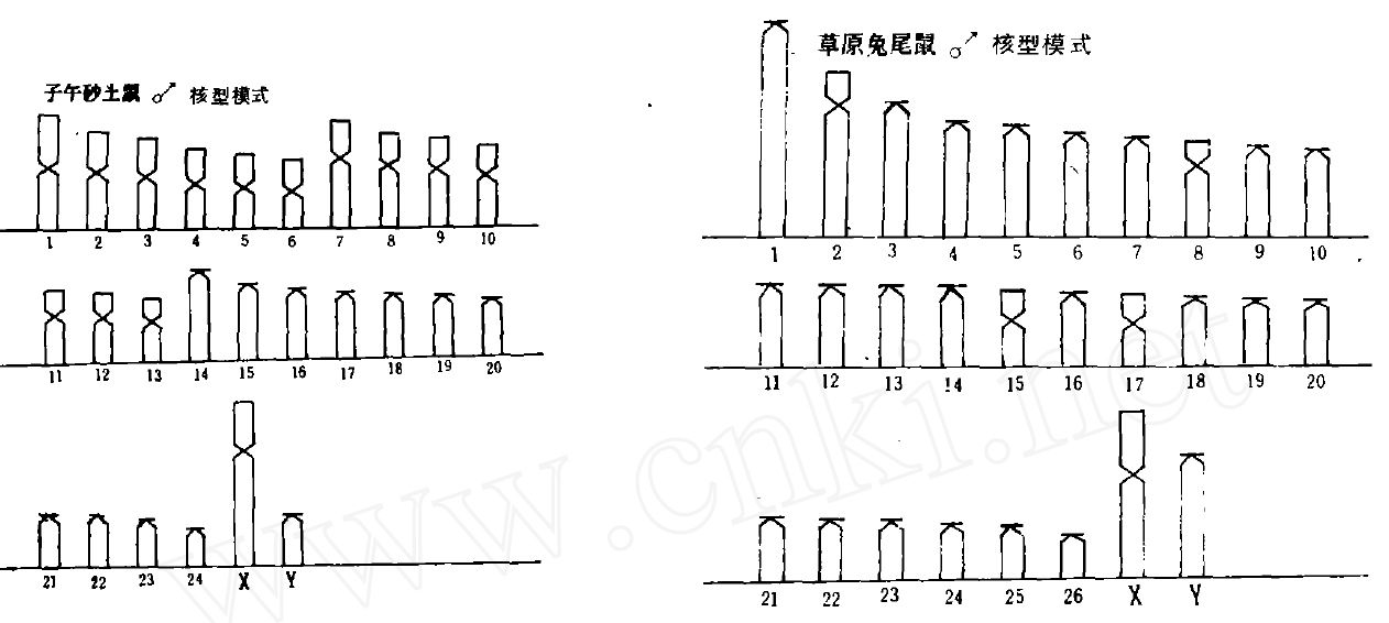 蜜桃成品人视频入口
