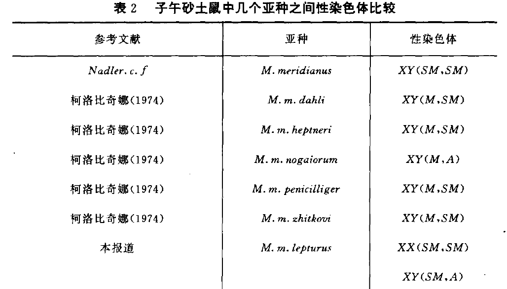 蜜桃成品人视频入口