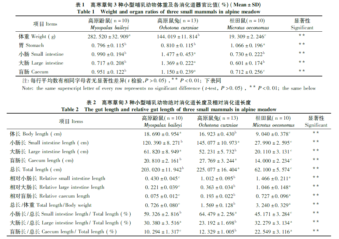 蜜桃成品人视频入口