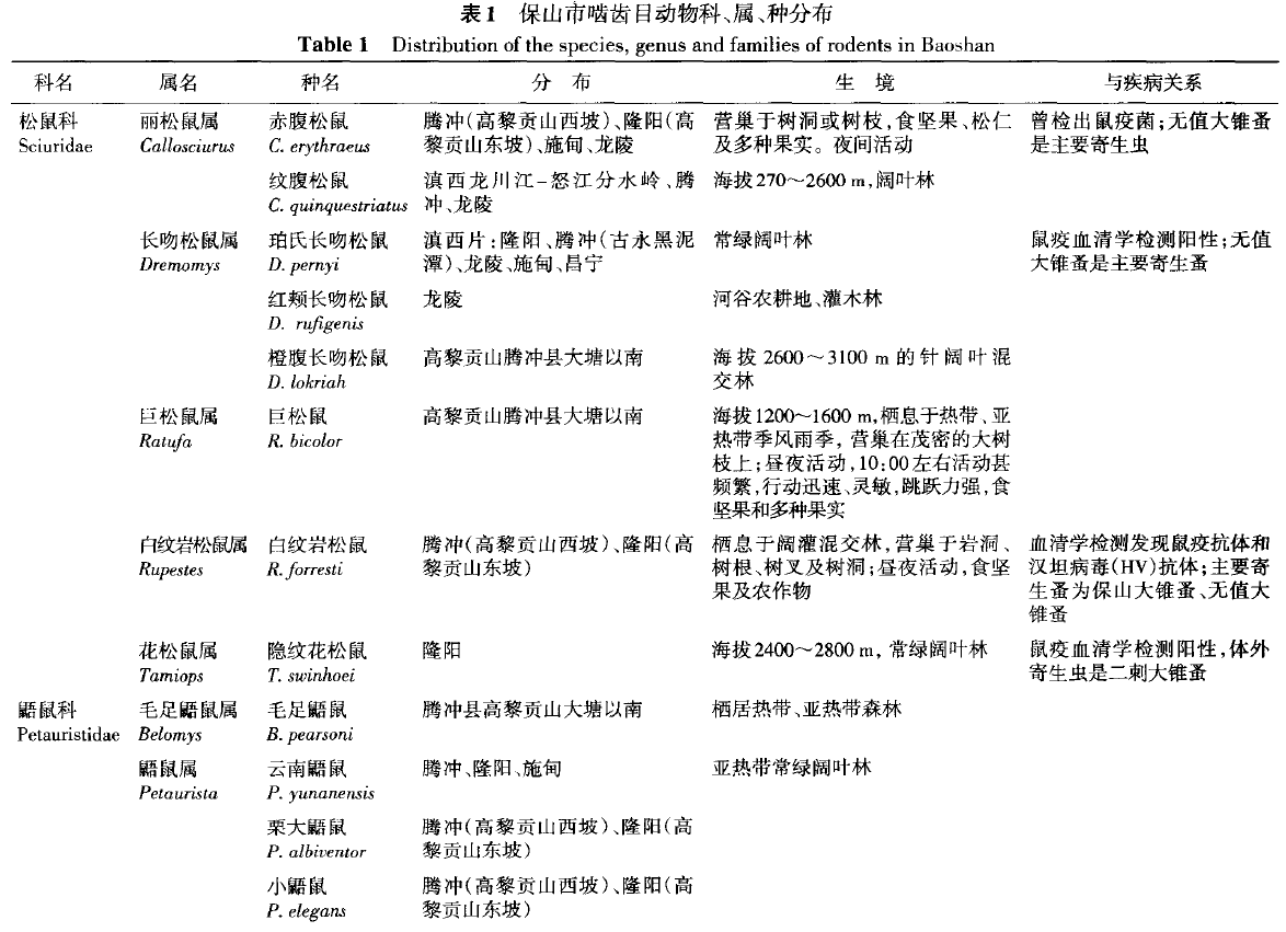 蜜桃成品人视频入口