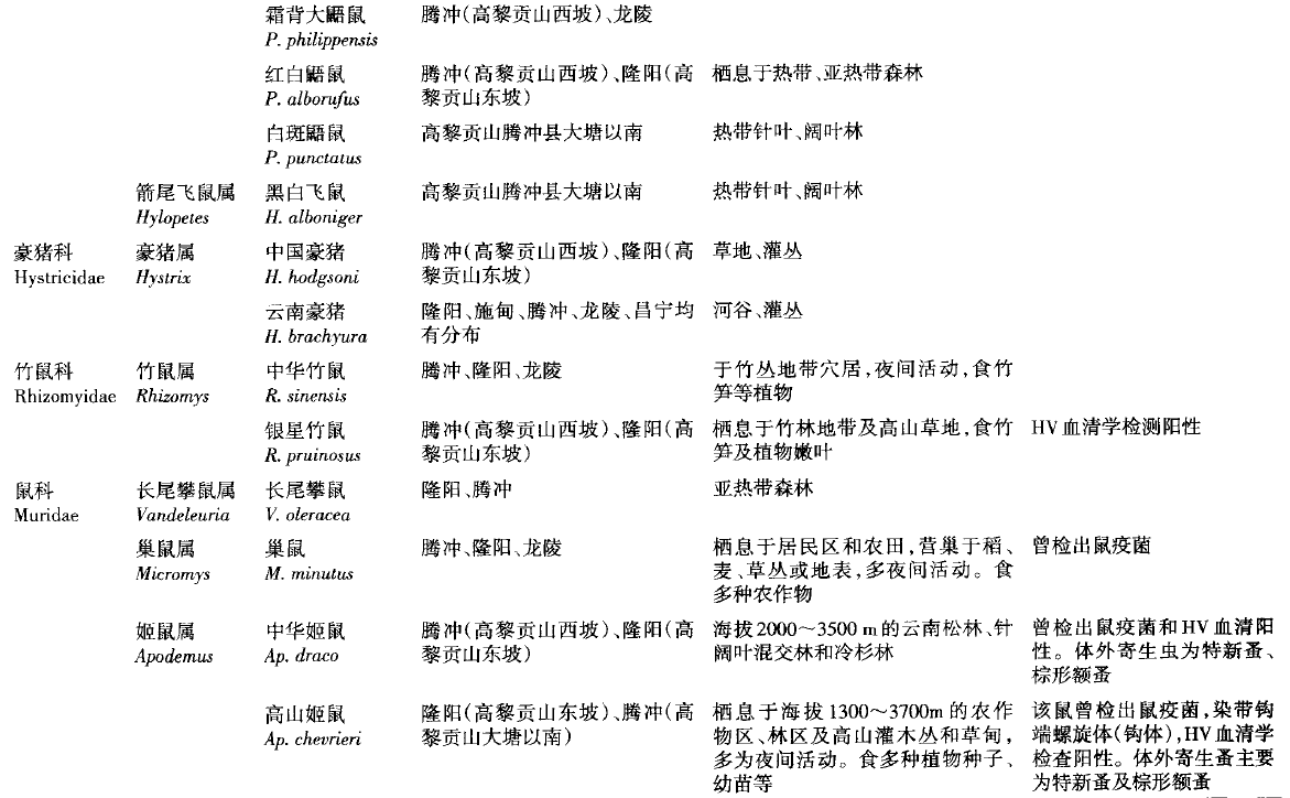 蜜桃成品人视频入口