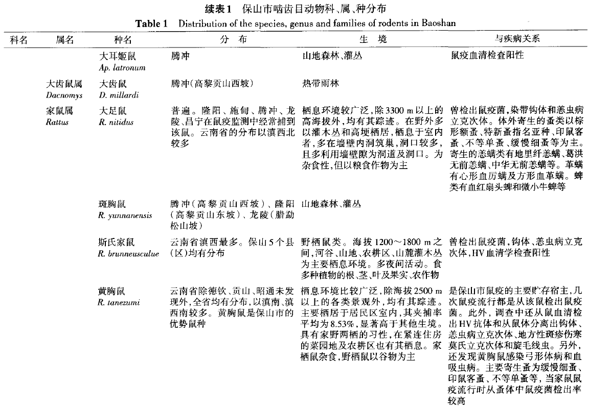 蜜桃成品人视频入口