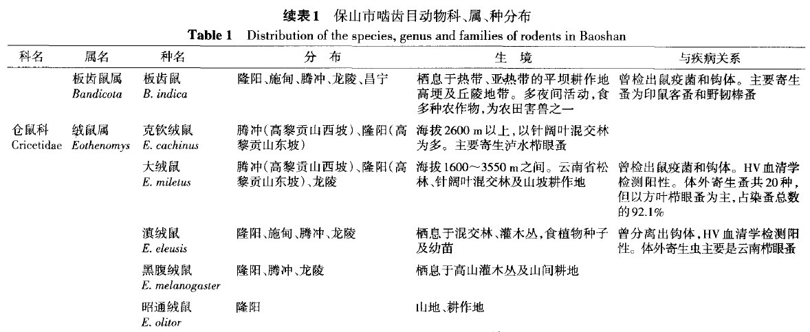 蜜桃成品人视频入口