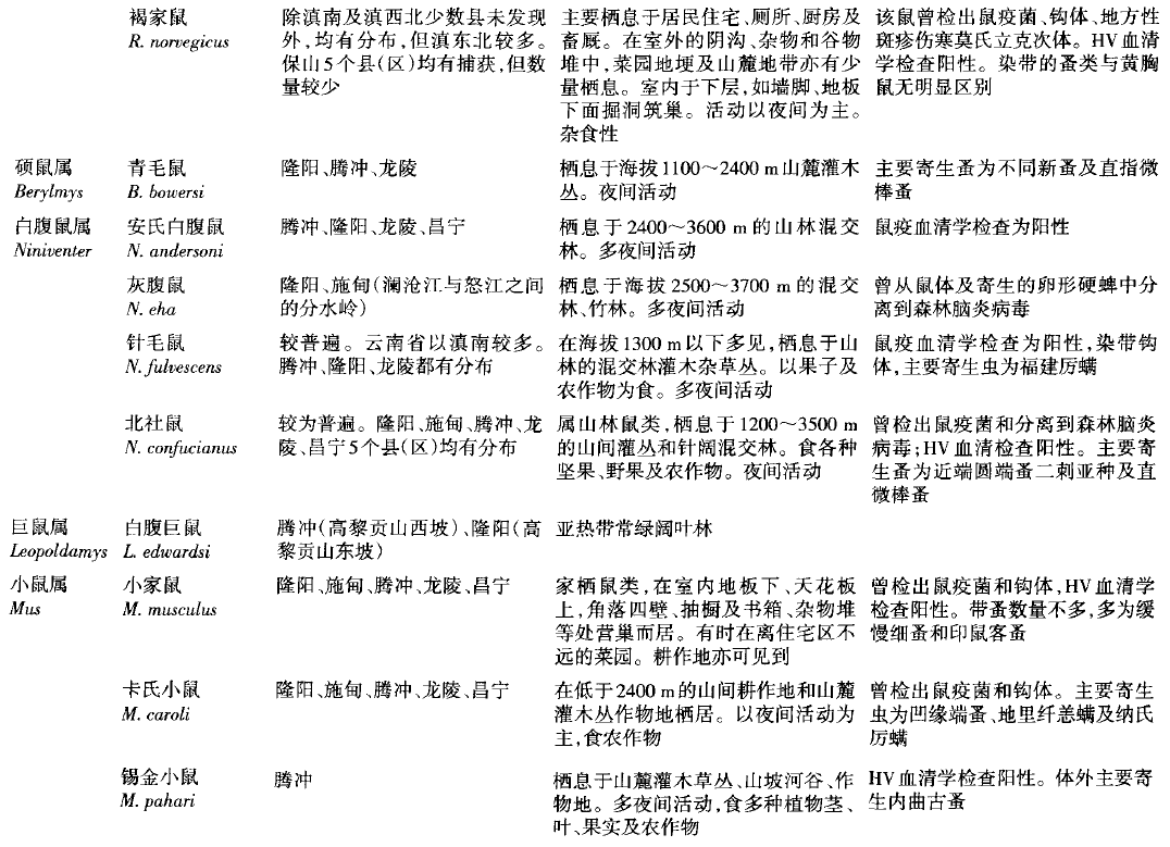 蜜桃成品人视频入口