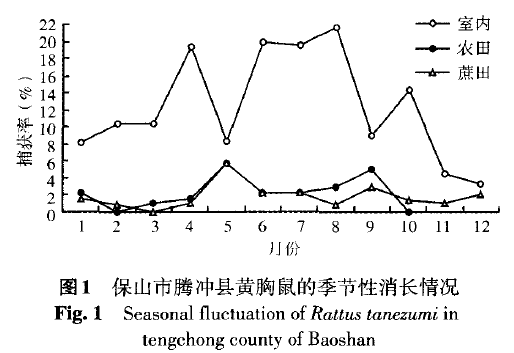 蜜桃成品人视频入口