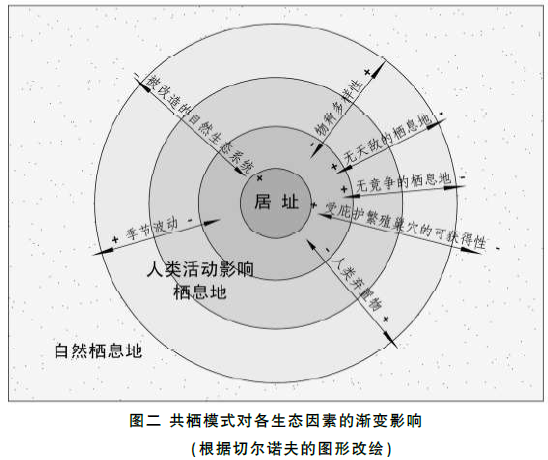 蜜桃成品人视频入口