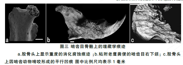 蜜桃成品人视频入口