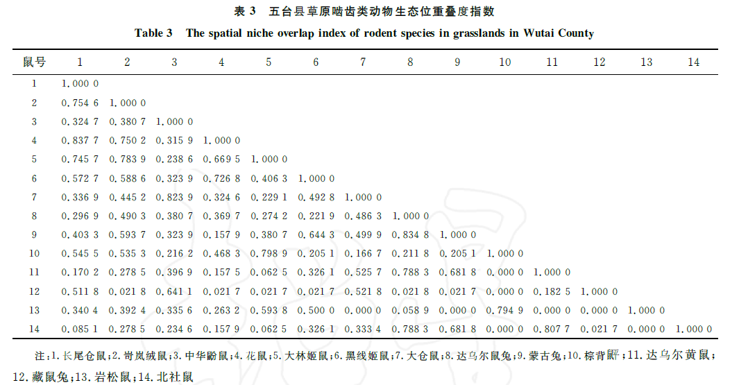 蜜桃成品人视频入口