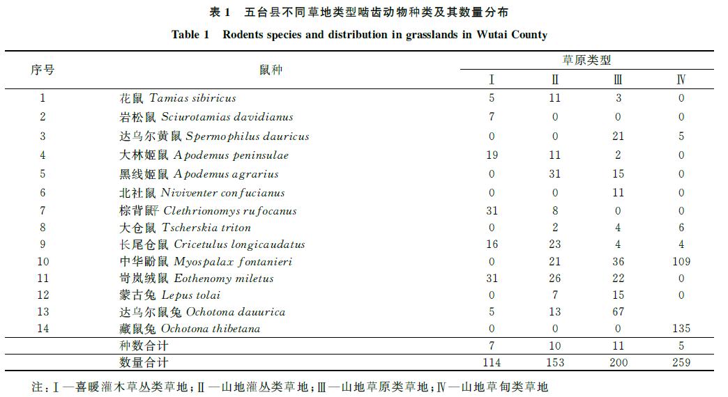 蜜桃成品人视频入口