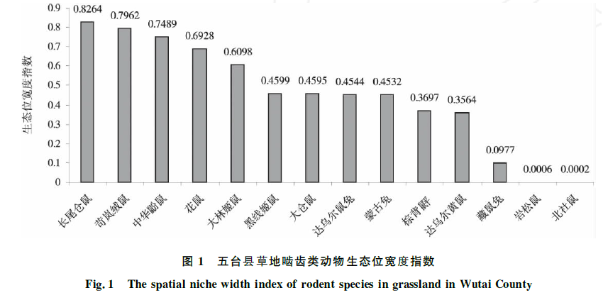 蜜桃成品人视频入口
