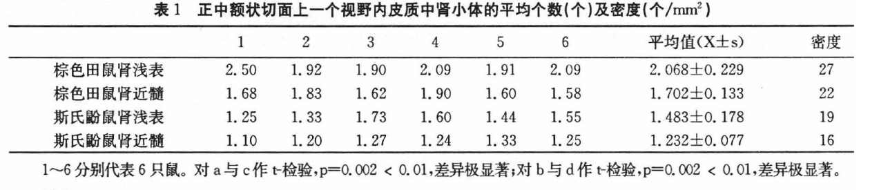 蜜桃成品人视频入口
