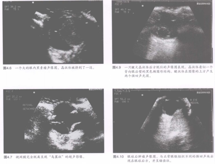蜜桃成品人视频入口