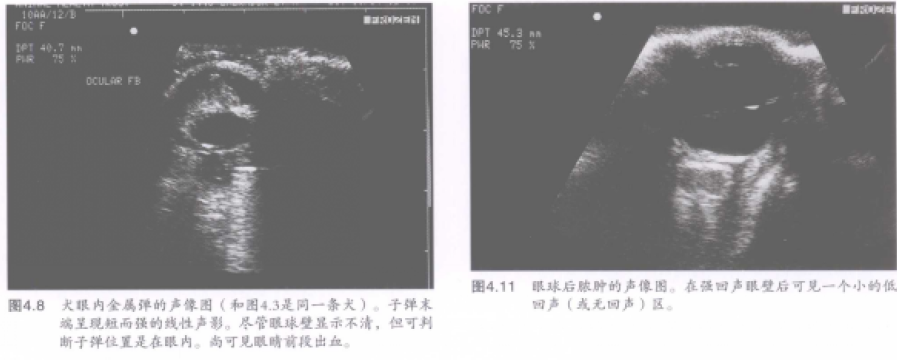 蜜桃成品人视频入口