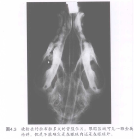 蜜桃成品人视频入口