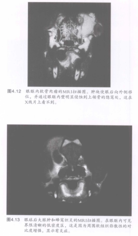 蜜桃成品人视频入口