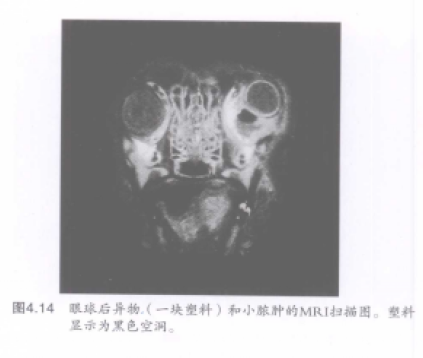 蜜桃成品人视频入口