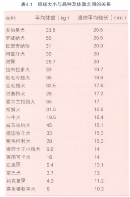 蜜桃成品人视频入口