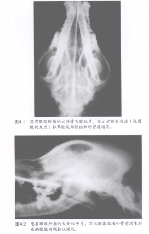 蜜桃成品人视频入口