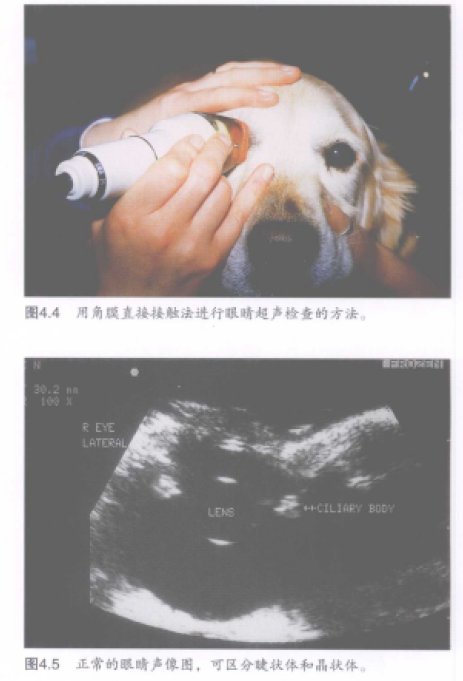 蜜桃成品人视频入口