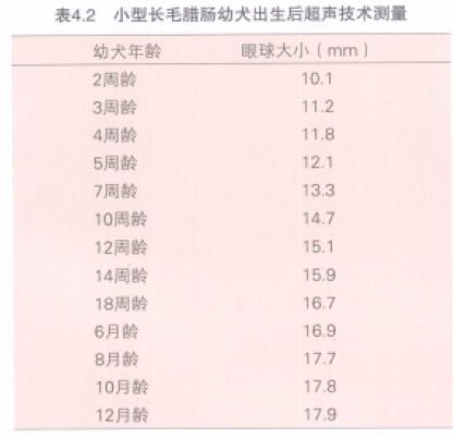 蜜桃成品人视频入口
