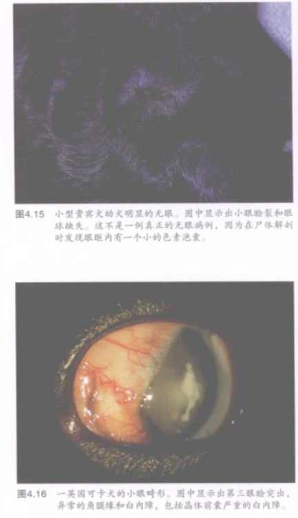 蜜桃成品人视频入口
