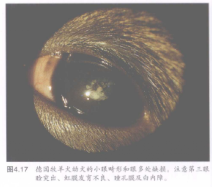 蜜桃成品人视频入口