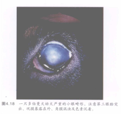 蜜桃成品人视频入口