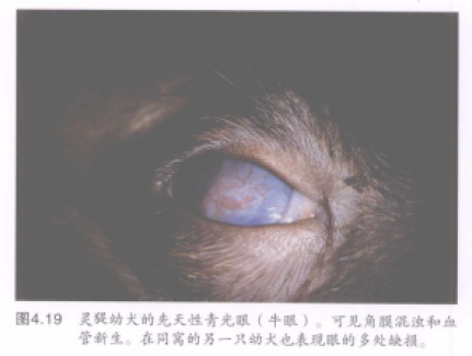 蜜桃成品人视频入口