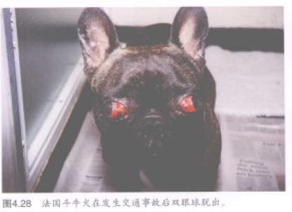 蜜桃成品人视频入口