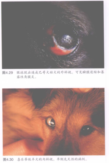 蜜桃成品人视频入口