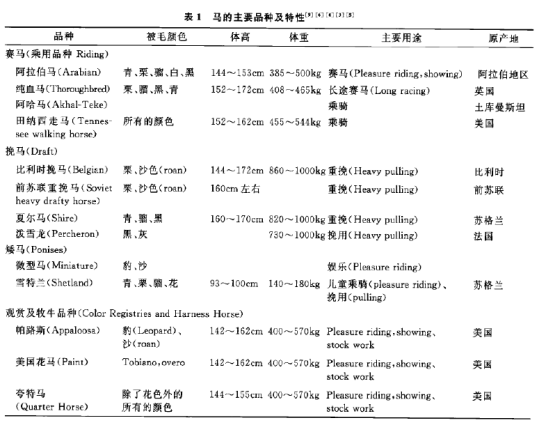 蜜桃成品人视频入口