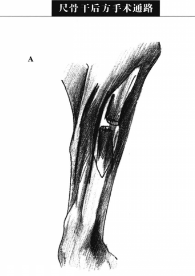 蜜桃成品人视频入口