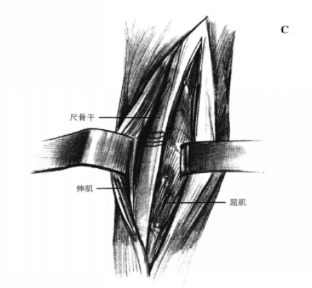 蜜桃成品人视频入口