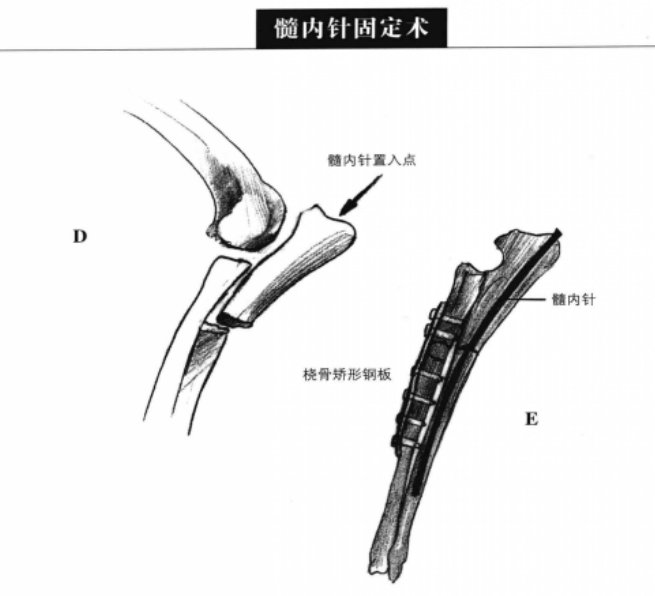 蜜桃成品人视频入口