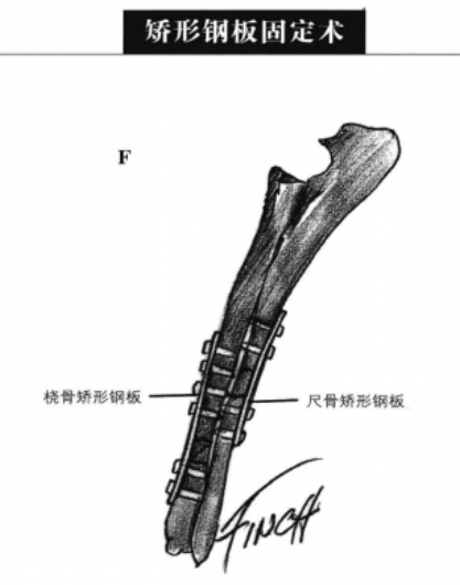 蜜桃成品人视频入口