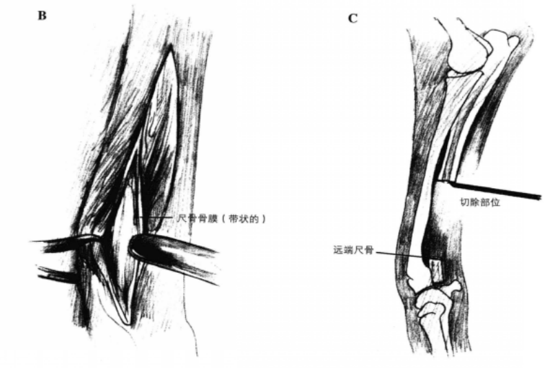蜜桃成品人视频入口