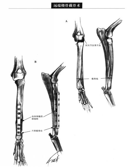 蜜桃成品人视频入口