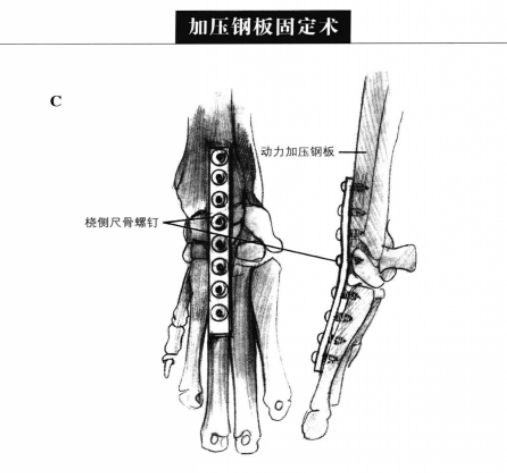 蜜桃成品人视频入口