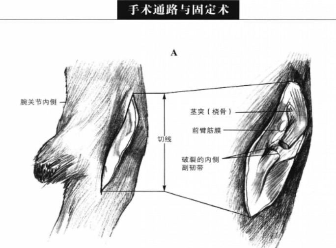 蜜桃成品人视频入口