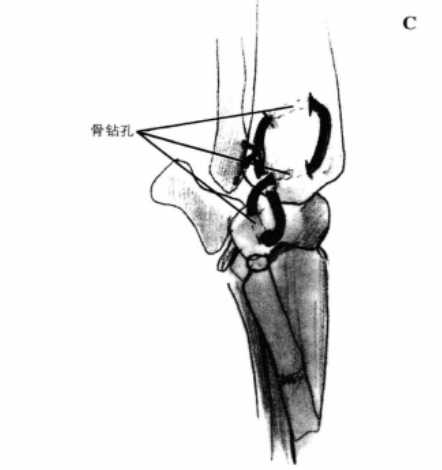 蜜桃成品人视频入口