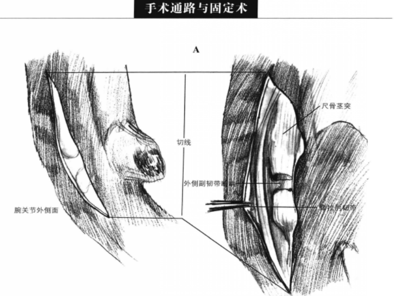 蜜桃成品人视频入口