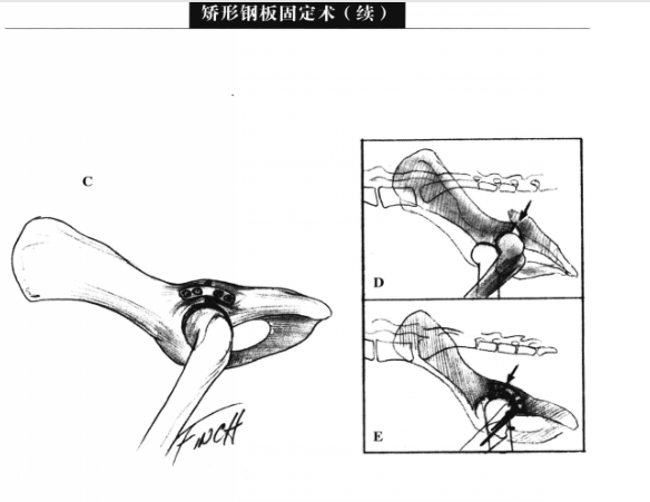 蜜桃成品人视频入口