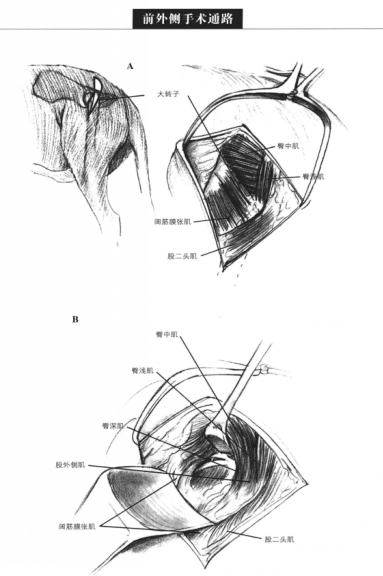 蜜桃成品人视频入口