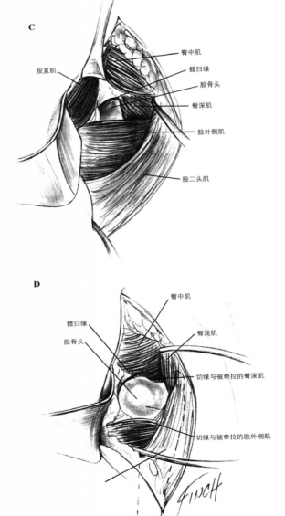 蜜桃成品人视频入口